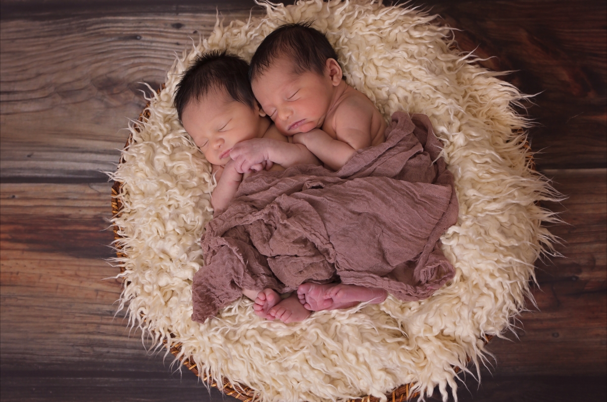 男孩 婴儿 图片 双胞胎
