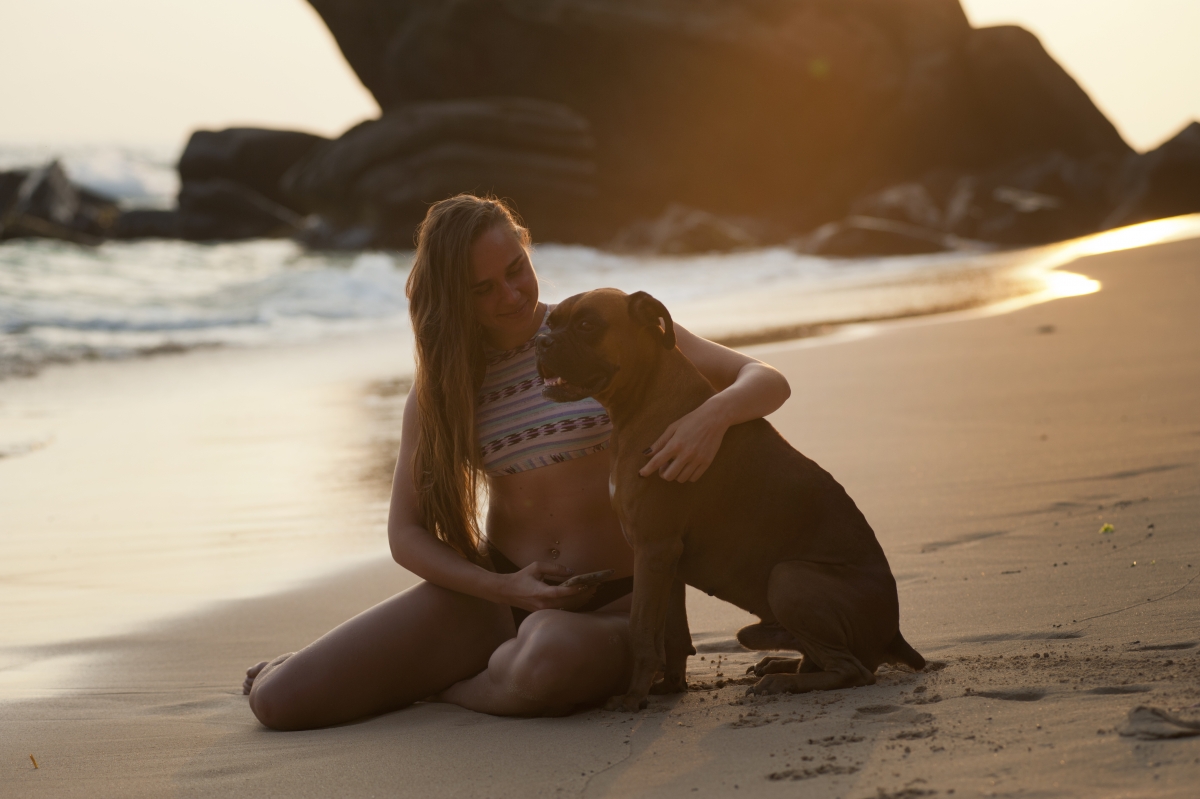 海滩美女和狗风景图片